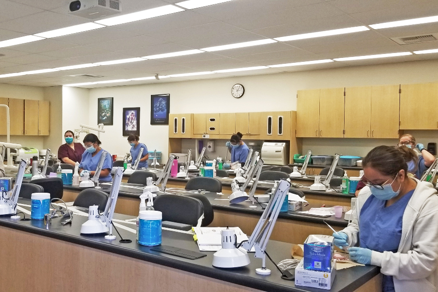 students wearing masks, gloves and scrubs practice clinical skills at individual dental workstations in a health sciences laboratory equipped with dental chairs, instruments and supplies