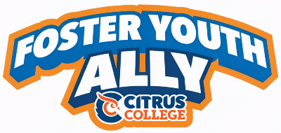 Foster Youth Ally logo