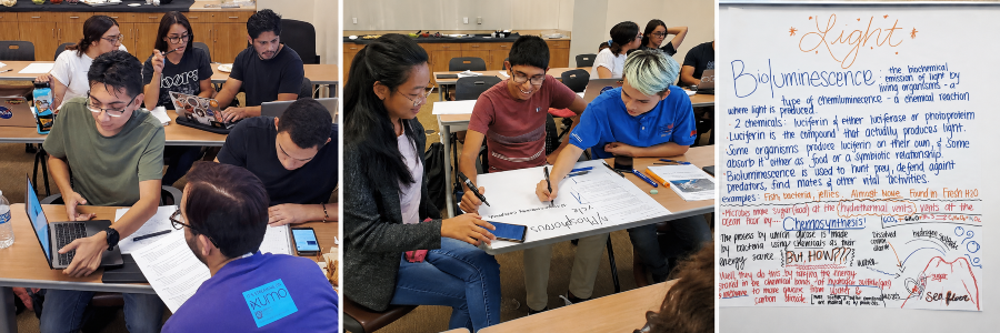 students collaborate on science coursework using laptops, worksheets and a group poster, alongside a handwritten presentation about bioluminescence and chemosynthesis