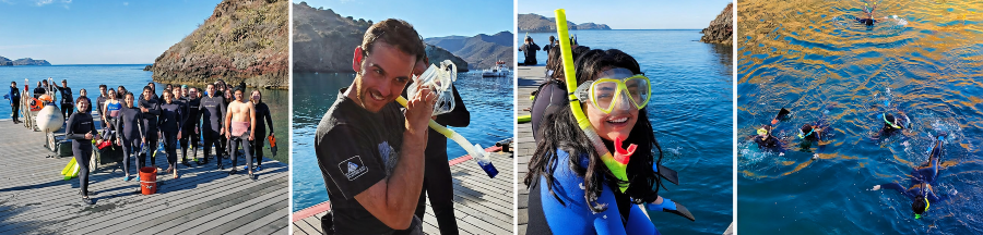 students prepare for and participate in a snorkeling excursion, posing on a dock with gear before entering the water along a rocky coastline